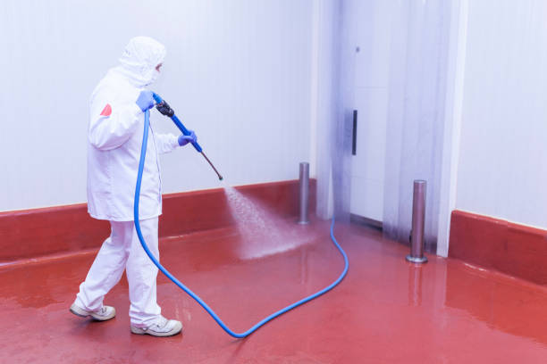 Best Graffiti Removal  in Kent, WA